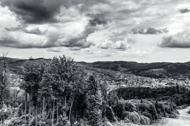 Ağaçlarla ve bulutlu gökyüzüyle çevrili bir dağ yolunun gri tonlu görüntüsü.