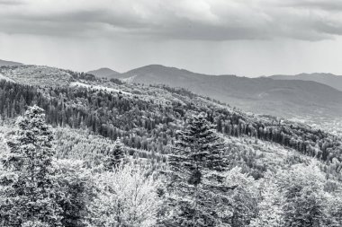 Karpatlar'ın güzel dağlarda.