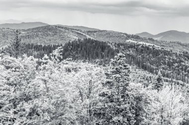 Karpatlar 'daki dağ manzarası siyah beyaz