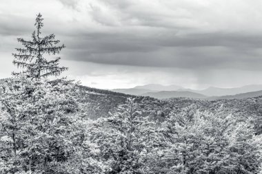 Dağlı güzel bir manzara.