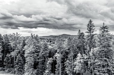 Dağların güzel manzarası