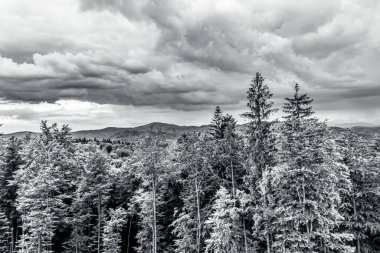 Ukrayna 'daki Karpatların güzel dağ manzarası.