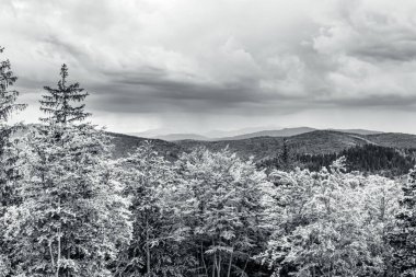 Dağların güzel manzarası