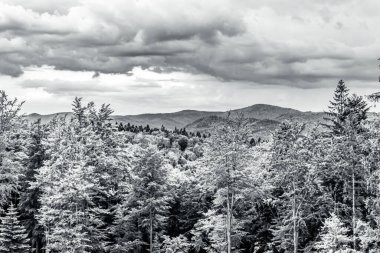 Karpatların siyah dağları bir yaz günü karla kaplı ağaçlarla. hava fotoğrafçılığı