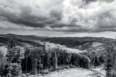 Güzel manzara. doğa arkaplanı