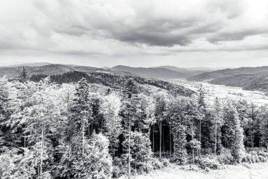 Karpat Dağlarının güzel manzarası