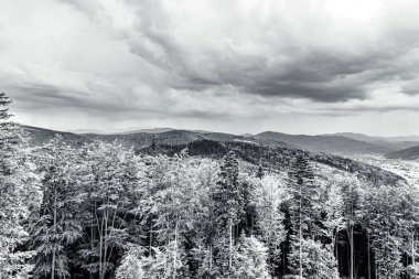 Ormandaki dağların güzel manzarası