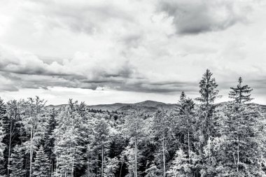 Ormandaki dağların güzel bir görüntüsü.