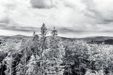 Karpatlar 'daki dağların siyah ve beyaz manzarası.