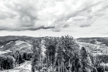 Arkasında bir dağ olan güzel bir manzara.