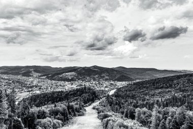 Norveç 'te bulutlu gökyüzünün altındaki dağlarda güzel bir orman görüntüsü.