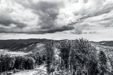 Doğanın güzel manzarası