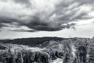 Ağaçlar ve bulutlarla dolu güzel bir manzara.