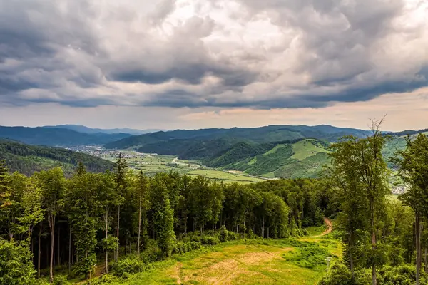 Ukrayna Karpatlar 'ında yaz dağı manzarası.