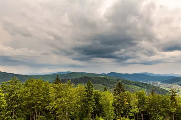Karpatlar 'daki güzel dağ manzarası. Yazın bulutlu doğa rezervi.