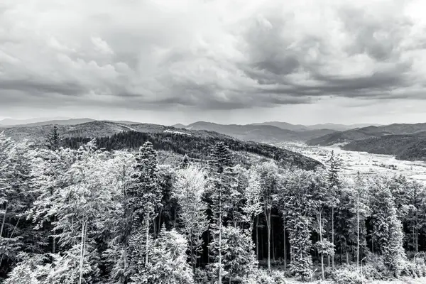 Arkasında bir dağ olan güzel bir manzara.