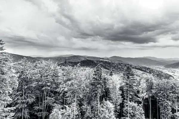 Ormandaki dağların güzel manzarası