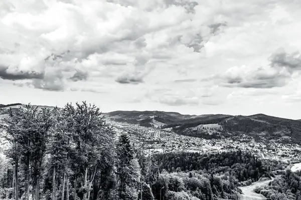 Dağları ve ormanı olan güzel bir manzara.