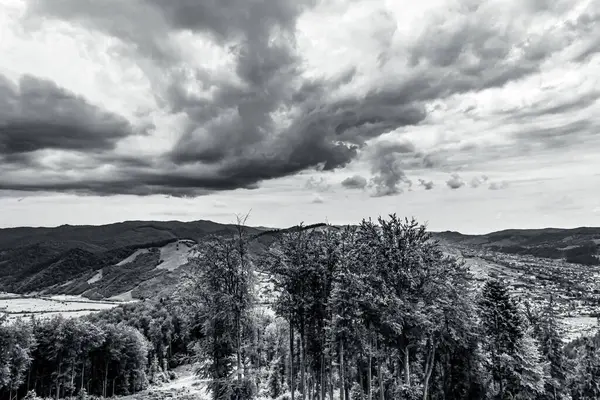 Dağ manzarasının siyah beyaz fotoğrafı
