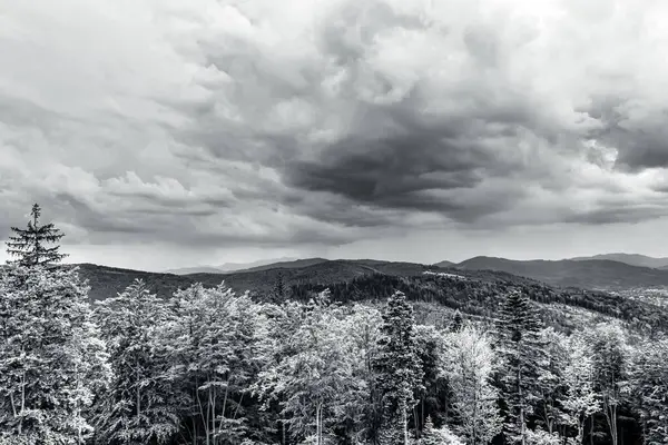 Bulutlu bulutların altındaki ağaçlarla siyah beyaz dağların güzel bir görüntüsü.