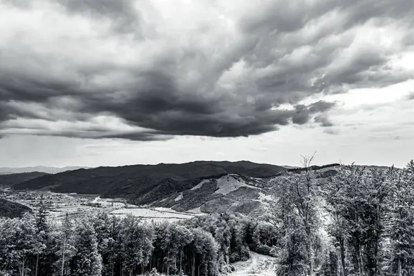 Ağaçlar ve bulutlarla dolu güzel bir manzara.