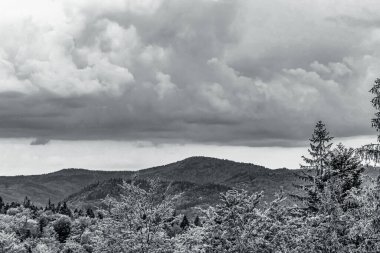 Ormanın üzerinde siyah beyaz bulutlar ve dağlarda ağaçlar