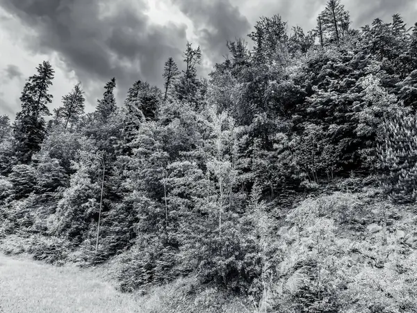 Dağların güzel manzarası