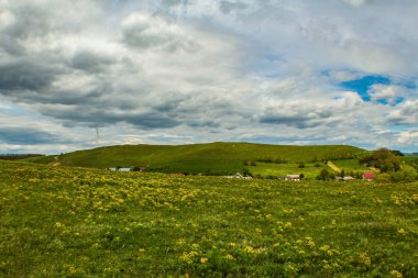 Yeşil çimen ve mavi gökyüzü olan güzel bir manzara.