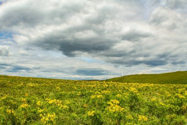 Bulutlu gökyüzü ile güzel bir dağ manzarası