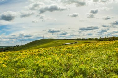 Mavi gökyüzü ve bulutlu yeşil tarlaların manzarası