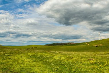 Yeşil çimenleri ve mavi gökyüzü olan güzel bir tarla manzarası.