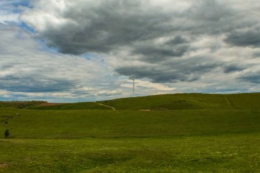 yeşil çimenler ve mavi bir gökyüzü