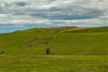 Mavi gökyüzü ve bulut ile yeşil alan