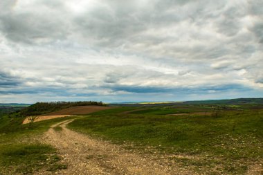İlkbaharda kırsal bir bölgede manzara