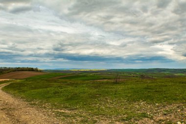 Çimen tarlası ve mavi gökyüzü olan güzel bir manzara.