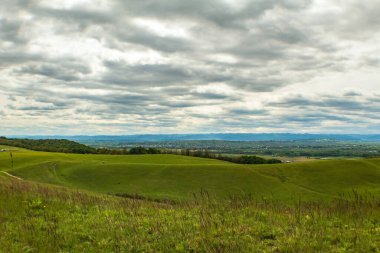 yeşil tarla ve mavi gökyüzü