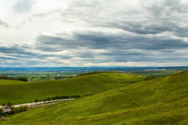 yeşil tarla ve mavi gökyüzü