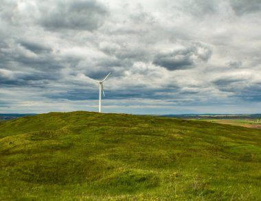 Arka planda rüzgar türbinleri olan yeşil alan
