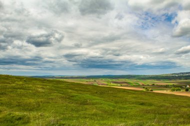 Yorkshire Dales, Yorkshire 'da güzel bir yaz tarlası manzarası.