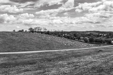 Dağlarda koyun tarlası olan güzel bir manzara.