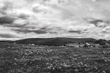 Güzel bir manzaranın siyah beyaz fotoğrafı