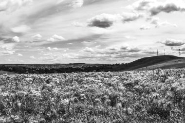 Tarlanın üzerinde siyah ve beyaz bulutlar ve güzel bir manzara.