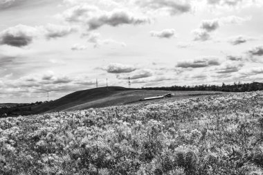 Kırsal kesimin siyah ve beyaz manzarası