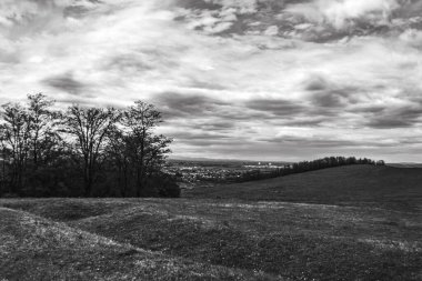 Ağaçlı ve ağaçlı güzel bir manzara.