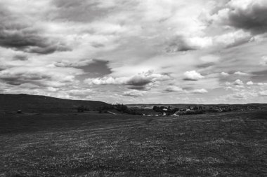 Ağaçların ve bulutlu gökyüzünün güzel bir görüntüsü.