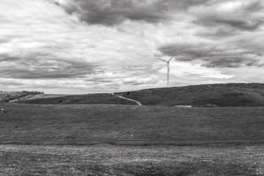 Parkın güzel manzarası