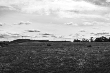 Çimen tarlası ve mavi gökyüzü olan güzel bir manzara.