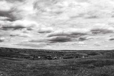 Çiçek tarlası olan güzel bir manzara