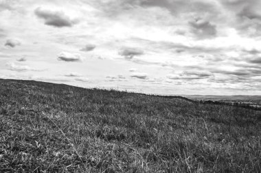 Bulutlu gökyüzünde yeşilliklerle çevrili bir tepenin gri tonlu görüntüsü.