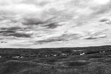 bir alanın siyah beyaz fotoğrafı